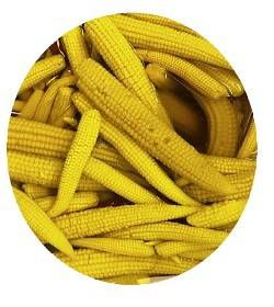 ذرت بیبی کرن فله